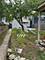 2005 Darrow, Evanston, IL 60201
