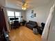 1337 W Fargo Unit 1203, Chicago, IL 60626