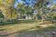 1228 Elizabeth, Naperville, IL 60540