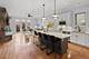 1424 W Barry, Chicago, IL 60657