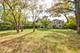 736 Morningside, Lake Forest, IL 60045
