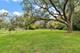 17220 Central, Tinley Park, IL 60477