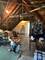 5813 W Cornelia, Chicago, IL 60634