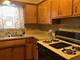 6100 S Kenneth Unit 1, Chicago, IL 60629