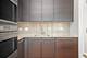 2550 N Lakeview Unit 2103N, Chicago, IL 60614