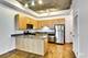 1464 S Michigan Unit 910, Chicago, IL 60605
