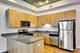 1464 S Michigan Unit 910, Chicago, IL 60605