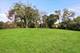 1302 Waukegan, Northbrook, IL 60062