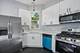 1220 S Avers, Chicago, IL 60623