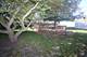 503 N Reed, Joliet, IL 60435