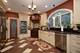 11226 Hiawatha, Indian Head Park, IL 60525