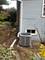 1424 Home, Berwyn, IL 60402
