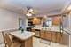 10540 S Sun Valley, Palos Hills, IL 60465