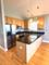 3106 S Wells Unit 3, Chicago, IL 60616