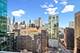 240 E Illinois Unit 2204, Chicago, IL 60611