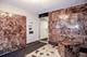 535 W Briar Unit 352, Chicago, IL 60657