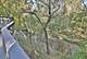 13 Woodgate, Burr Ridge, IL 60527