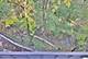 13 Woodgate, Burr Ridge, IL 60527