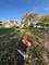1050 W 57th, Chicago, IL 60621