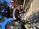 8009 S Throop Unit 2, Chicago, IL 60620