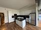1631 S Michigan Unit 401, Chicago, IL 60616