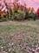 Vacant LOT 17 Lyncliff, Oswego, IL 60543