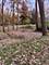 Vacant LOT 17 Lyncliff, Oswego, IL 60543