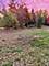 Vacant LOT 17 Lyncliff, Oswego, IL 60543