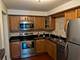 960 S River Unit 208, Des Plaines, IL 60016