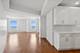 850 N Lake Shore Unit 1506, Chicago, IL 60611