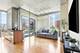 1720 S Michigan Unit 308, Chicago, IL 60616