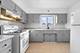 852 E 88th, Chicago, IL 60619