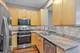 1616 S Indiana Unit B3, Chicago, IL 60616