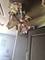 10 Lilac, Bolingbrook, IL 60490