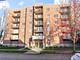 501 Alles Unit 302a, Des Plaines, IL 60016