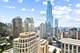 800 N Michigan Unit 3603, Chicago, IL 60611