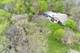 184 A River, Lake Barrington, IL 60010