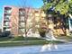 104 N Pine Unit 302, Arlington Heights, IL 60004