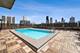 1325 N State Unit 8E, Chicago, IL 60610