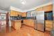 5223 W School Unit 1, Chicago, IL 60641