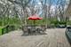 3309 York, Oak Brook, IL 60523