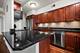 3180 N Lake Shore Unit 8C, Chicago, IL 60657