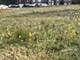 Lot 1 Reckinger, Aurora, IL 60505