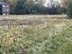 Lot 1 Reckinger, Aurora, IL 60505