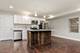 2109 W 18th, Chicago, IL 60608