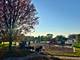 1712 Woodland, Park Ridge, IL 60068