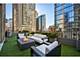 25 E Superior Unit 11D, Chicago, IL 60611