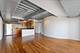 1910 S Indiana Unit 523, Chicago, IL 60616