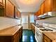203 Symphony Unit 203A, Elgin, IL 60120