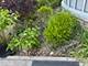 1402 Lathrop, River Forest, IL 60305